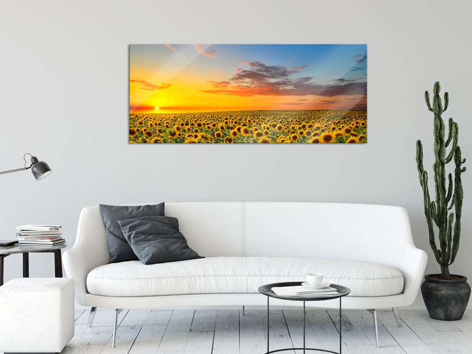 Sonnenuntergang Sonnenblumen, Glasbild Panorama