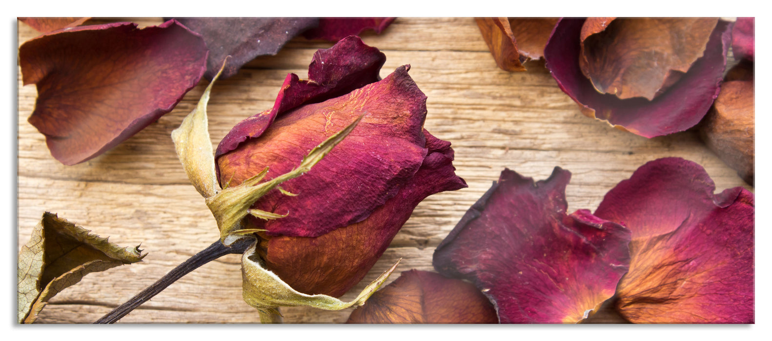 Pixxprint Rosen auf Holztisch, Glasbild Panorama