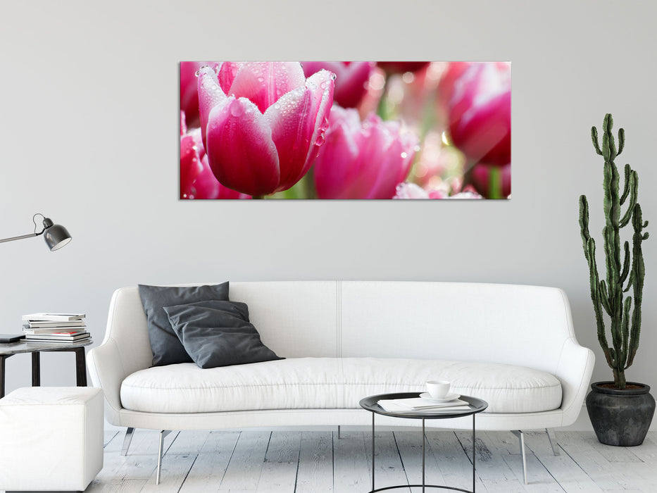 Tulpen mit Morgentau, Glasbild Panorama