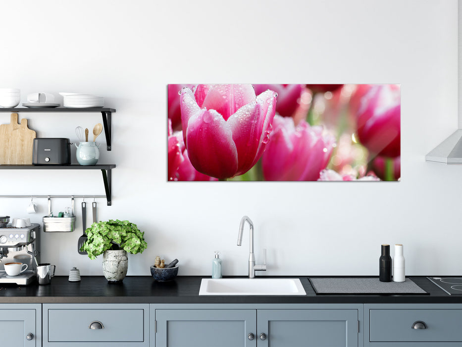 Tulpen mit Morgentau, Glasbild Panorama