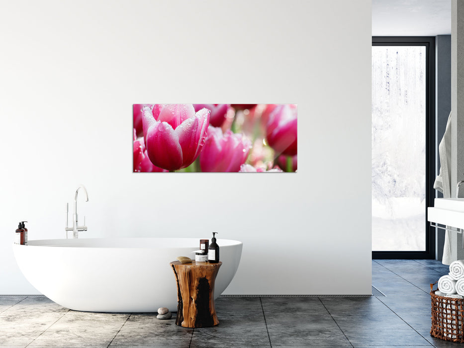 Tulpen mit Morgentau, Glasbild Panorama