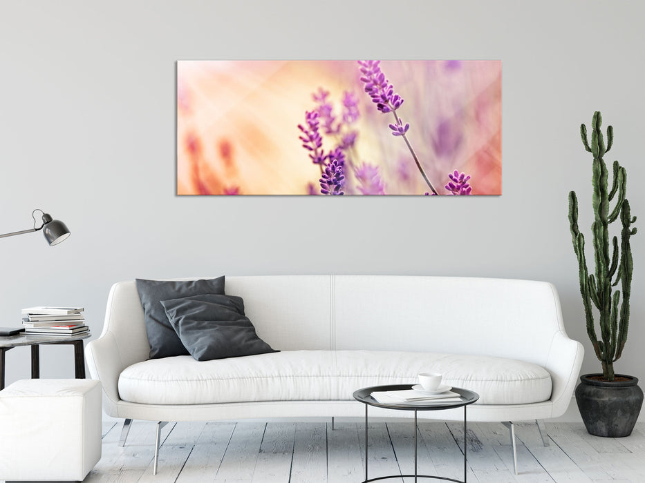 Eleganter Lavendel, Glasbild Panorama