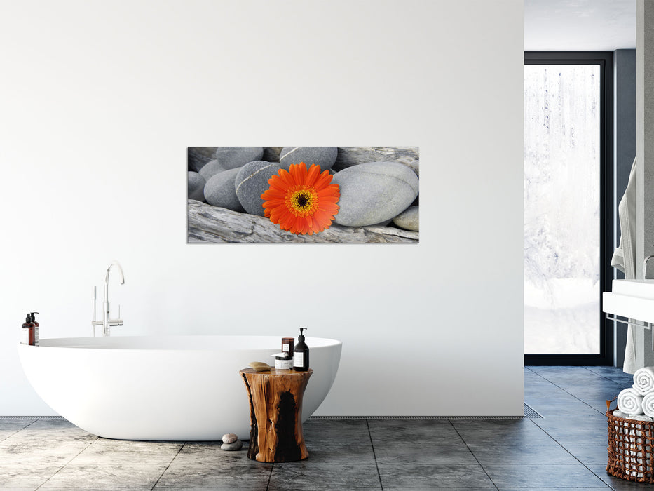 Gerbera zwischen Zen Steinen, Glasbild Panorama