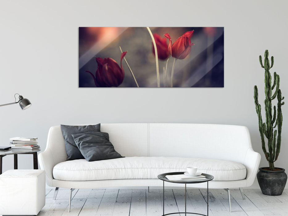 Tulpen im Abendlicht, Glasbild Panorama