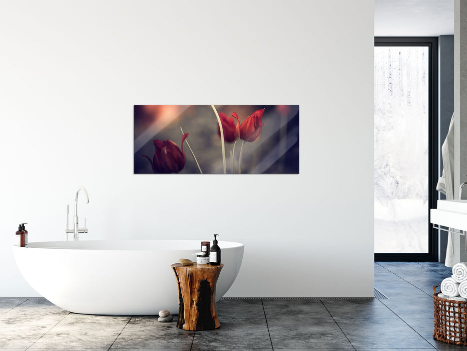 Tulpen im Abendlicht, Glasbild Panorama