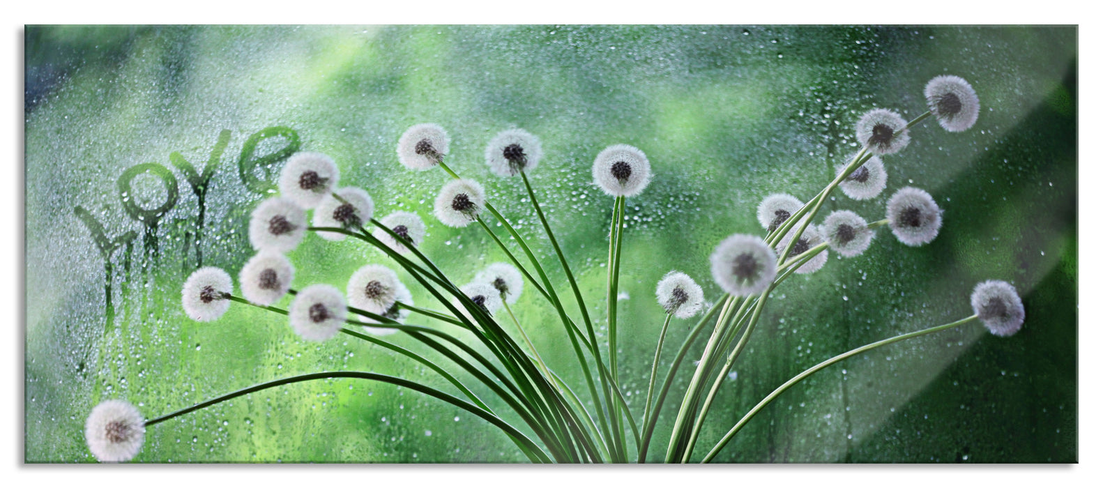 Pixxprint Pusteblumen am Fenster, Glasbild Panorama