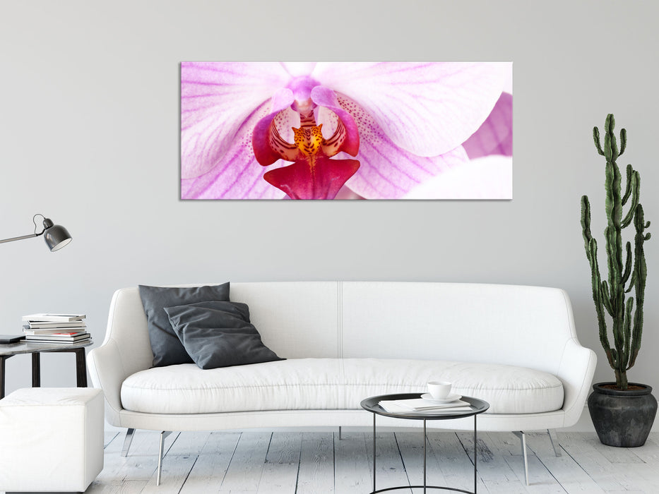 Prächtige Rosa Orchidee, Glasbild Panorama