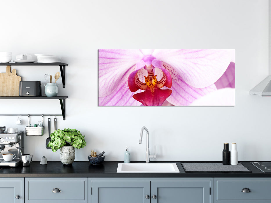 Prächtige Rosa Orchidee, Glasbild Panorama