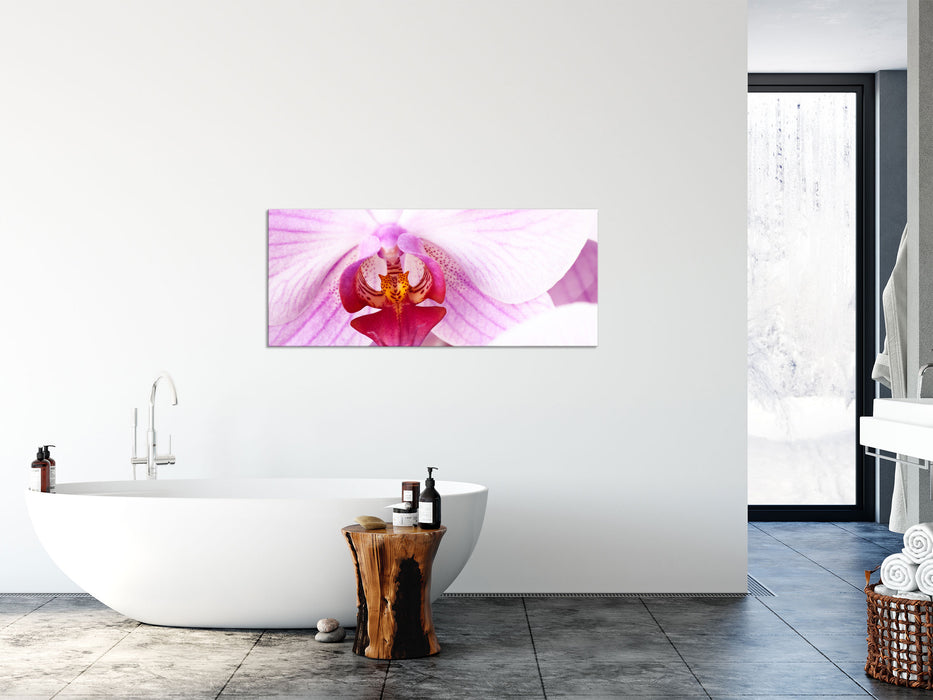 Prächtige Rosa Orchidee, Glasbild Panorama