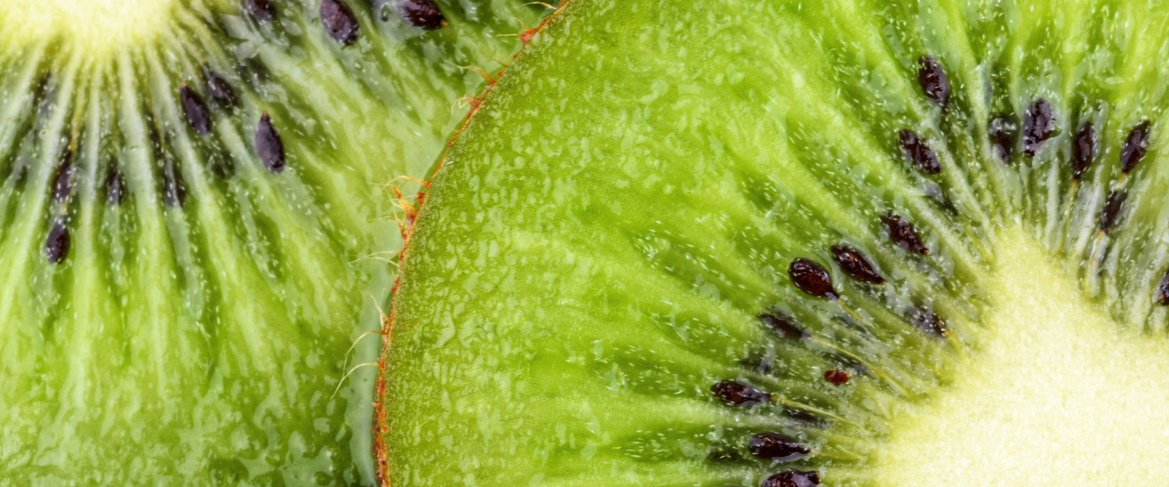 Grüner Kiwi Traum, Glasbild Panorama