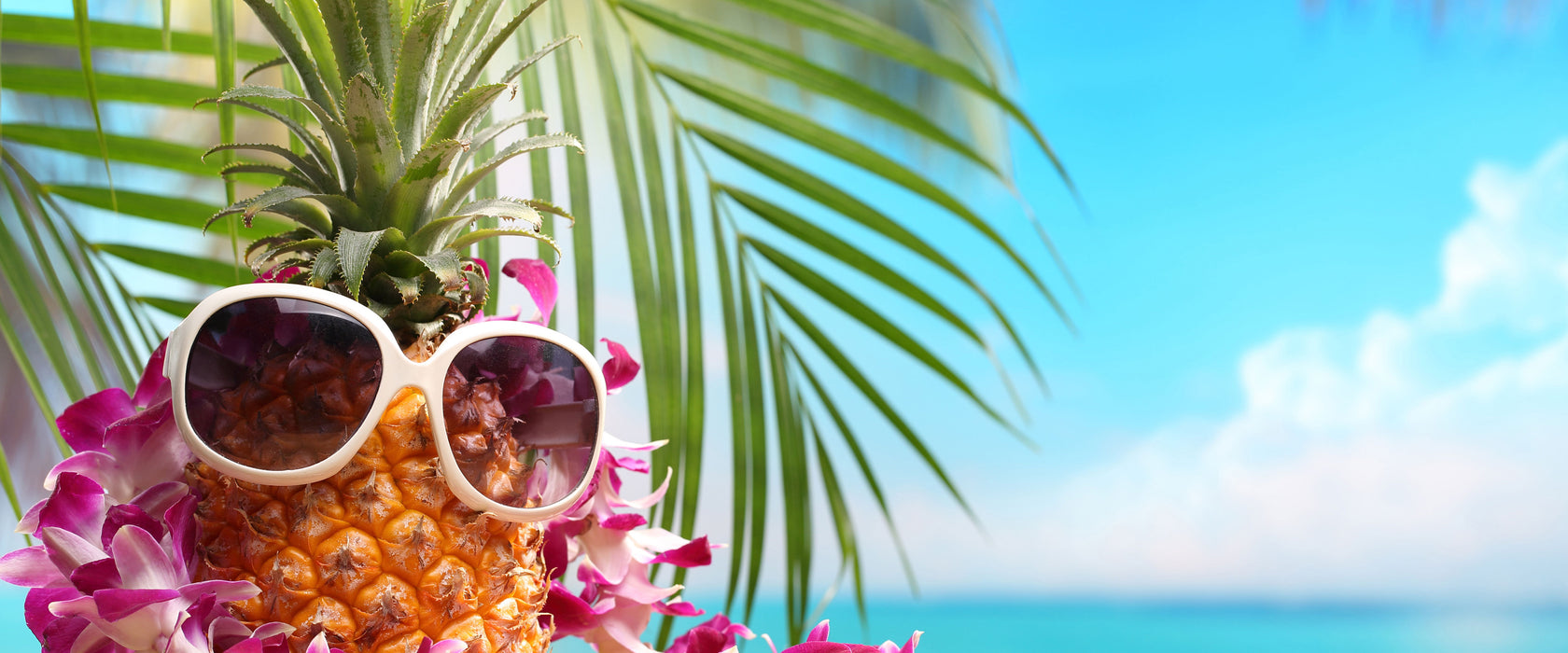 Ananas mit Sonnenbrille, Glasbild Panorama