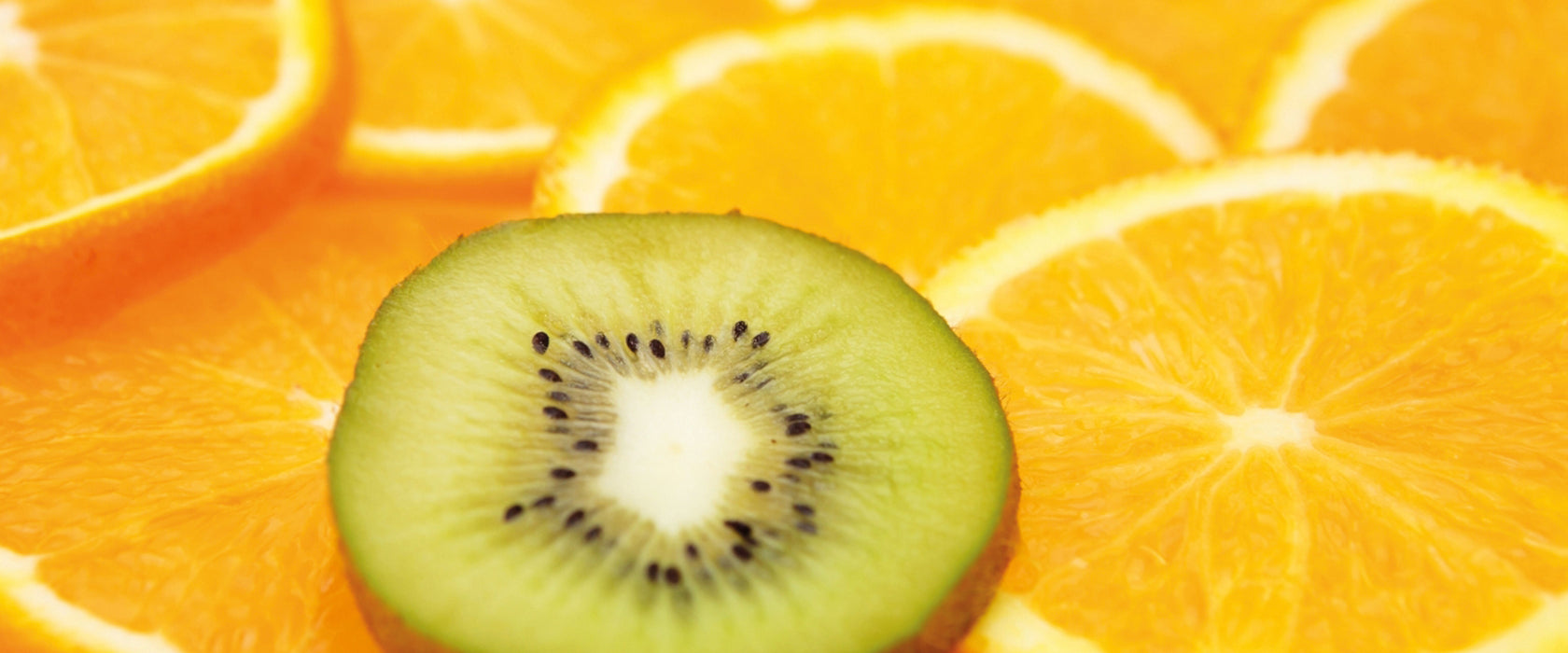 Kiwi verirrt in Orangenscheiben, Glasbild Panorama