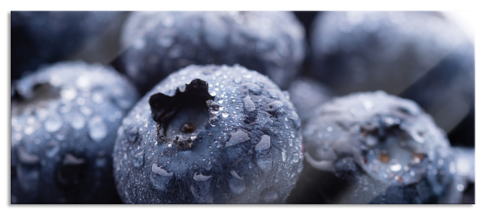 Pixxprint fruchtige Heidelbeeren, Glasbild Panorama