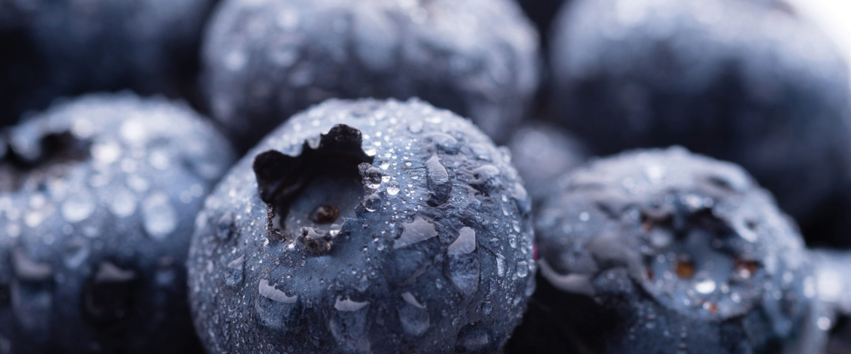 fruchtige Heidelbeeren, Glasbild Panorama