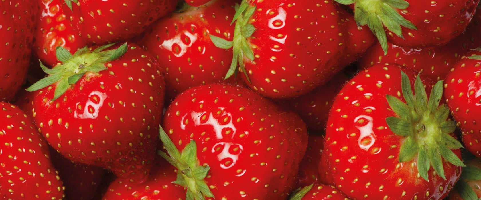 Fruchtig frische Erdbeeren, Glasbild Panorama