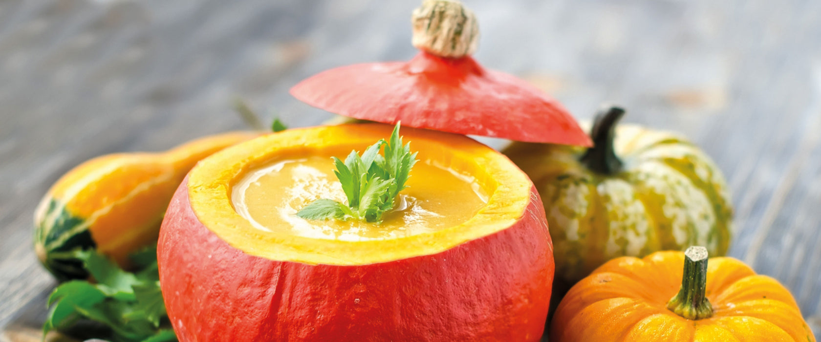 Leckere Kürbissuppe, Glasbild Panorama