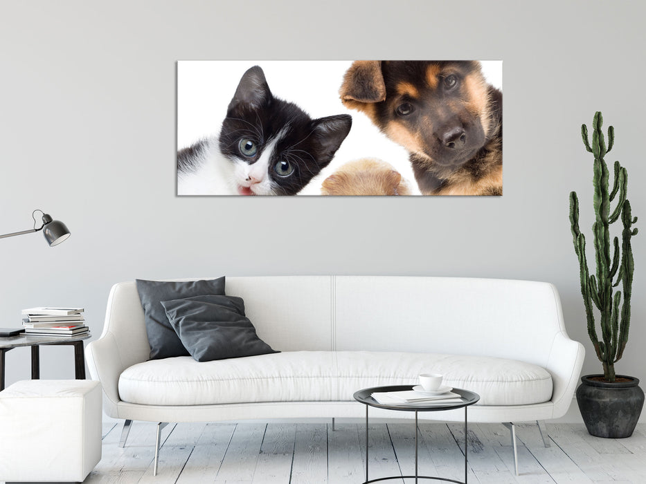 Trio Hund Katze Meerschwein, Glasbild Panorama