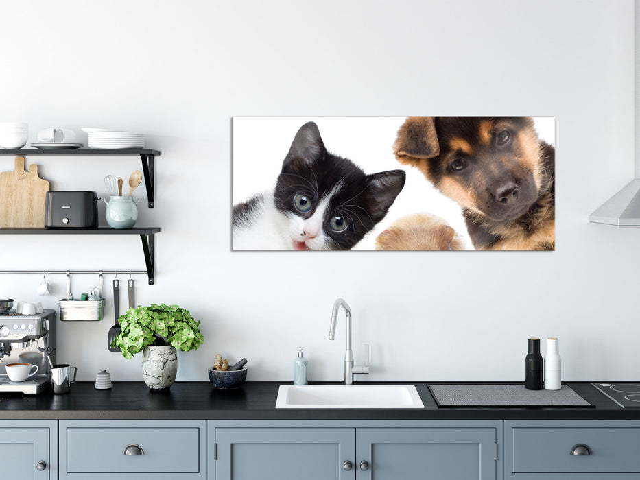 Trio Hund Katze Meerschwein, Glasbild Panorama