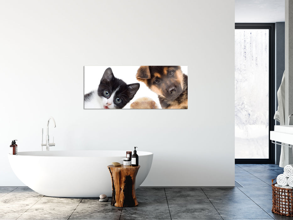 Trio Hund Katze Meerschwein, Glasbild Panorama