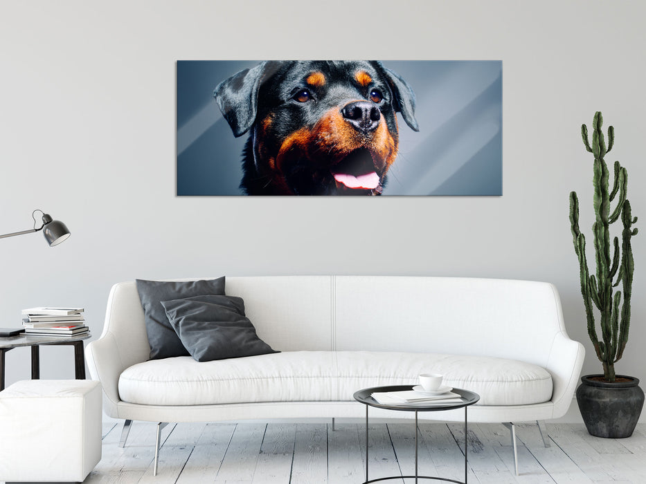 Treuer Rottweiler, Glasbild Panorama