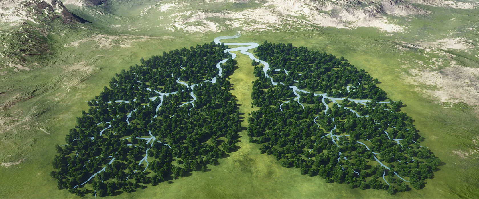 Grüne Lunge der Natur, Glasbild Panorama