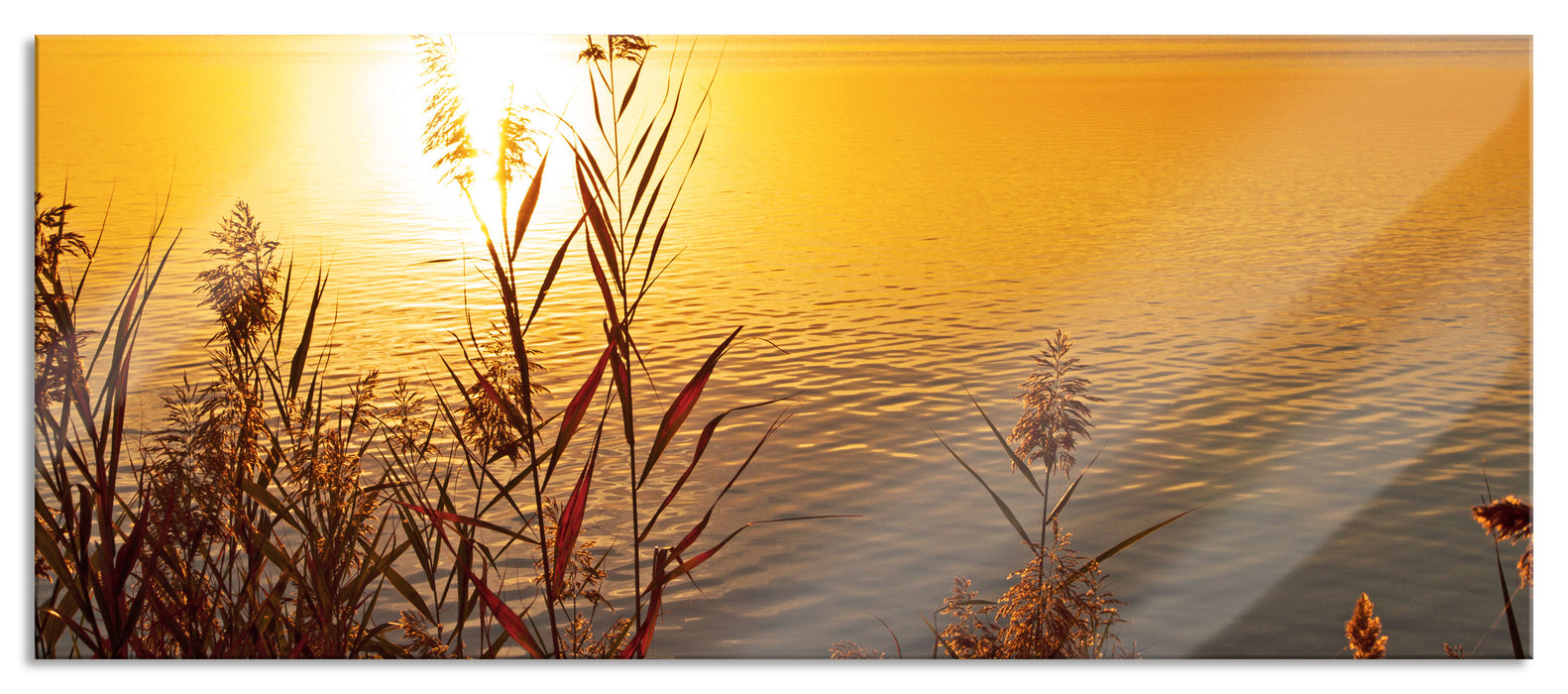 Pixxprint Sonnenuntergang am See, Glasbild Panorama