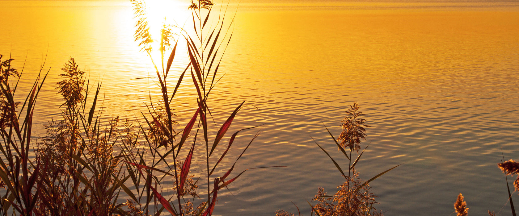 Sonnenuntergang am See, Glasbild Panorama