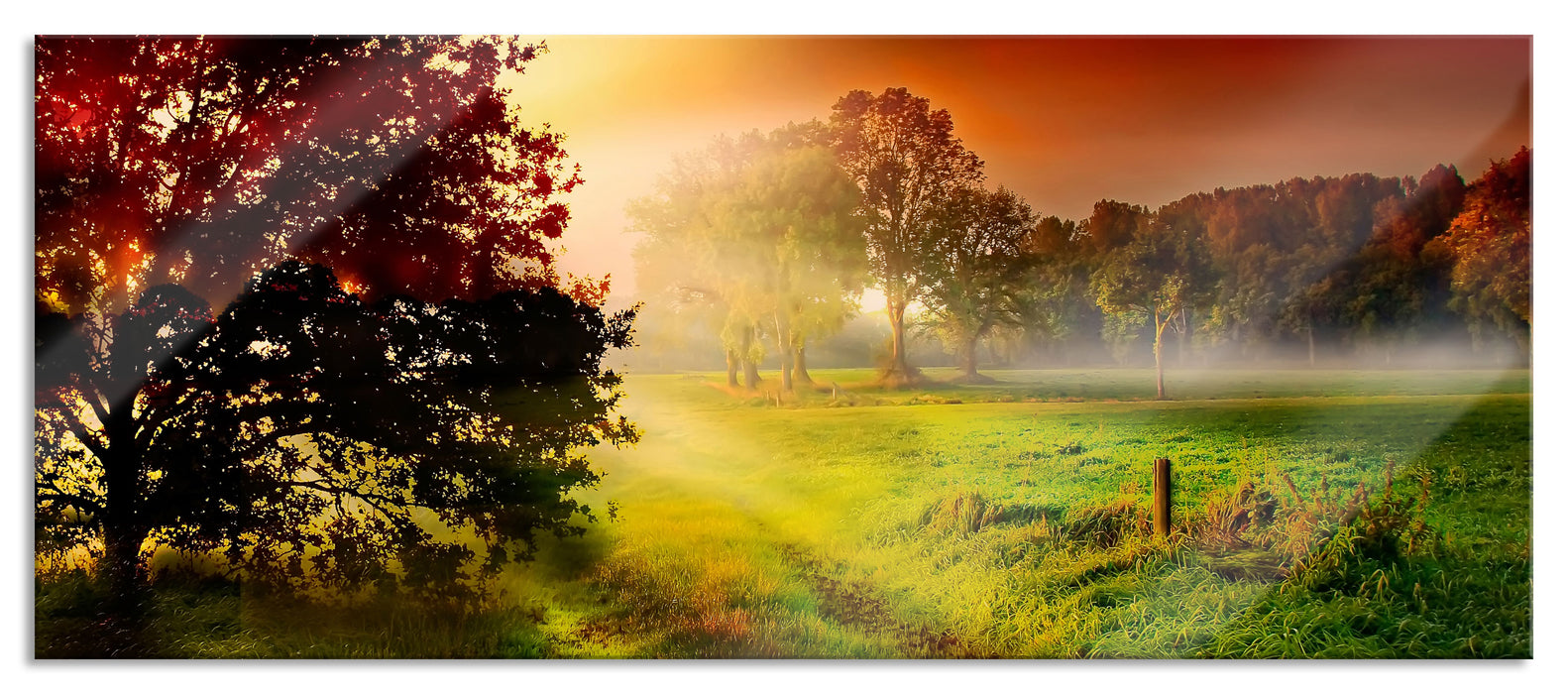 Pixxprint Sonnenuntergang an Lichtung, Glasbild Panorama