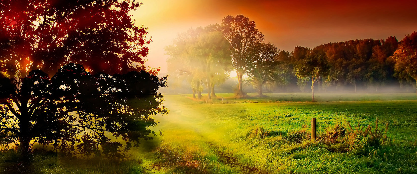 Sonnenuntergang an Lichtung, Glasbild Panorama