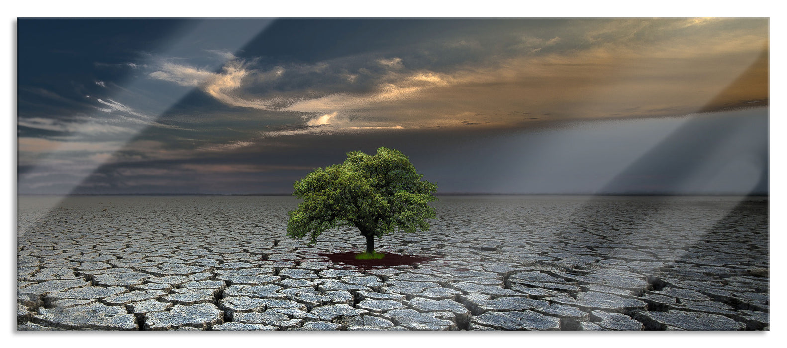 Pixxprint Der Baum im Boden, Glasbild Panorama