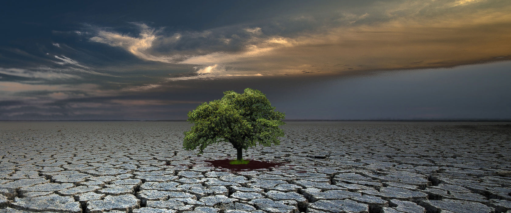 Der Baum im Boden, Glasbild Panorama