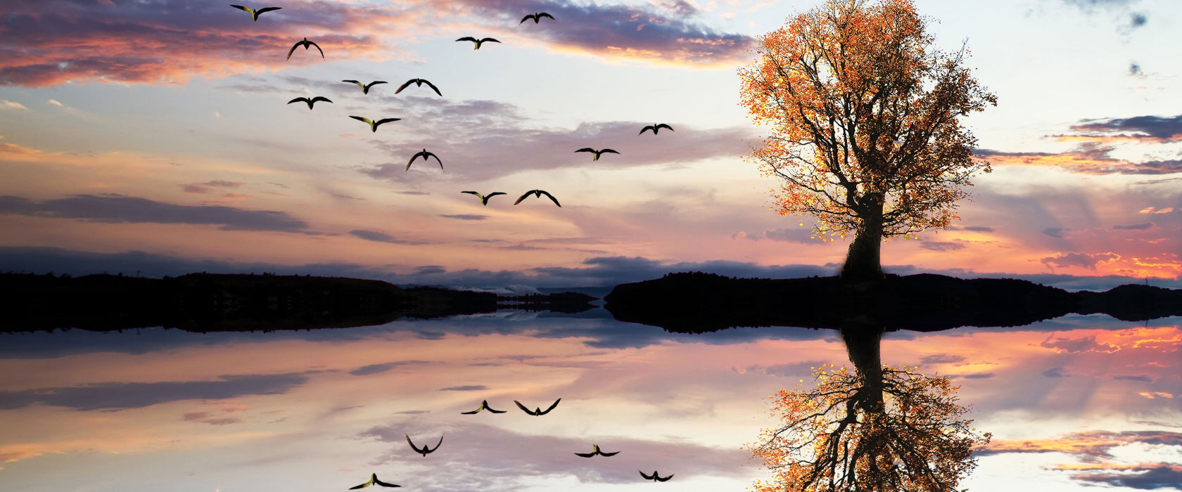 Baum spiegelt sich im Wasser, Glasbild Panorama