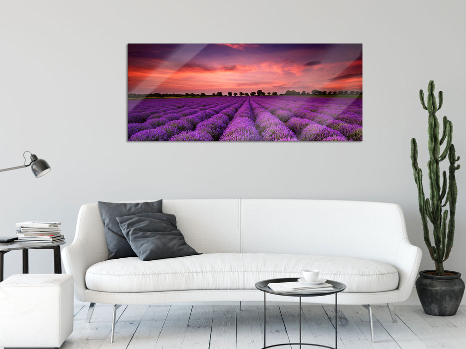 Wunderschöne Lavendel Provence, Glasbild Panorama