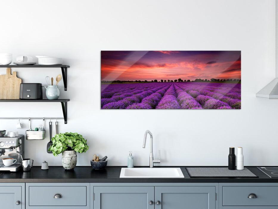 Wunderschöne Lavendel Provence, Glasbild Panorama