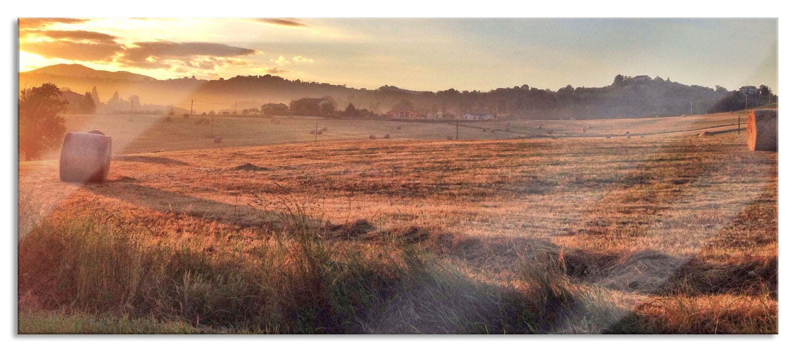 Pixxprint Getreidefeld im Abendlicht, Glasbild Panorama