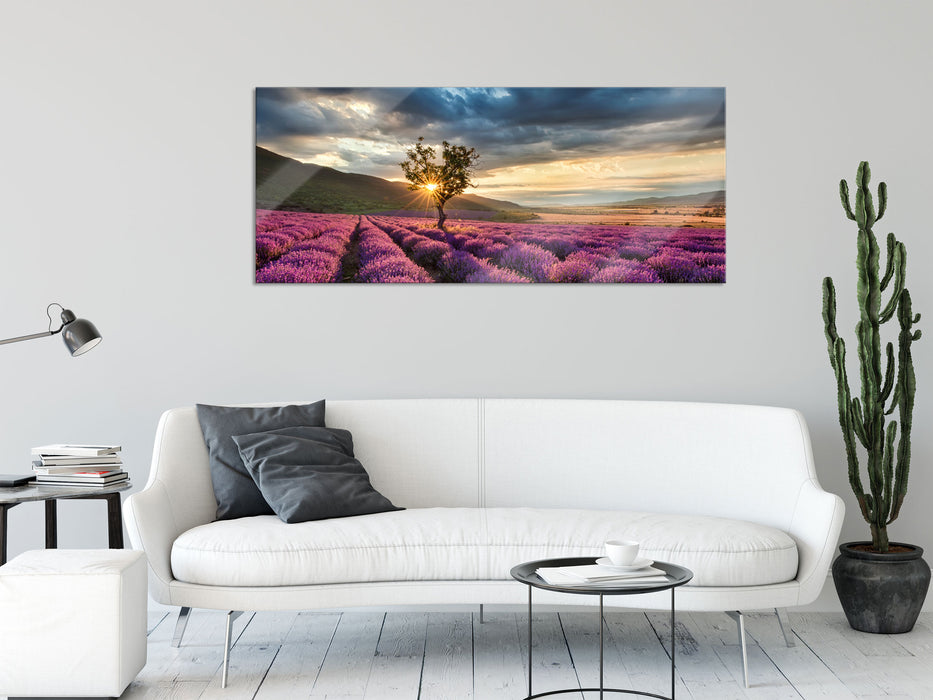 Lavendel Provence mit Baum, Glasbild Panorama