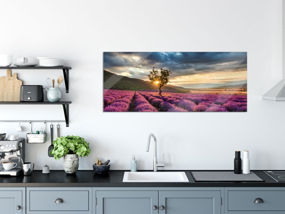 Lavendel Provence mit Baum, Glasbild Panorama