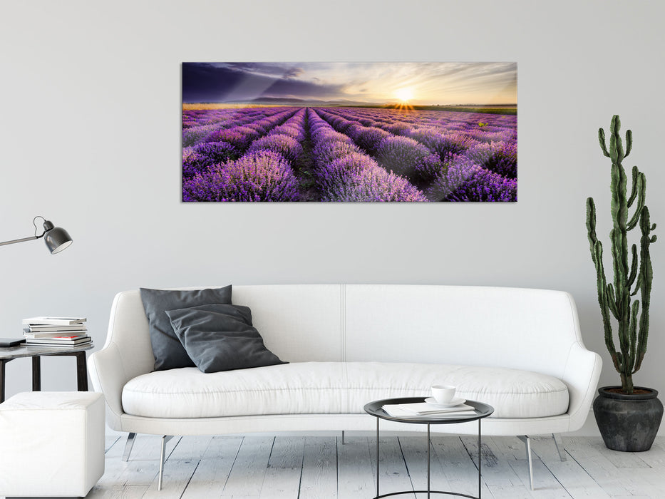 Traumhafte Lavendel Provence, Glasbild Panorama