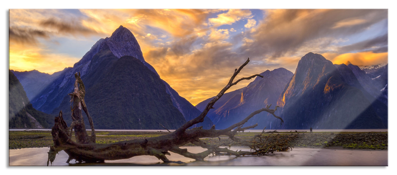 Pixxprint Baum in Berglandschaft, Glasbild Panorama