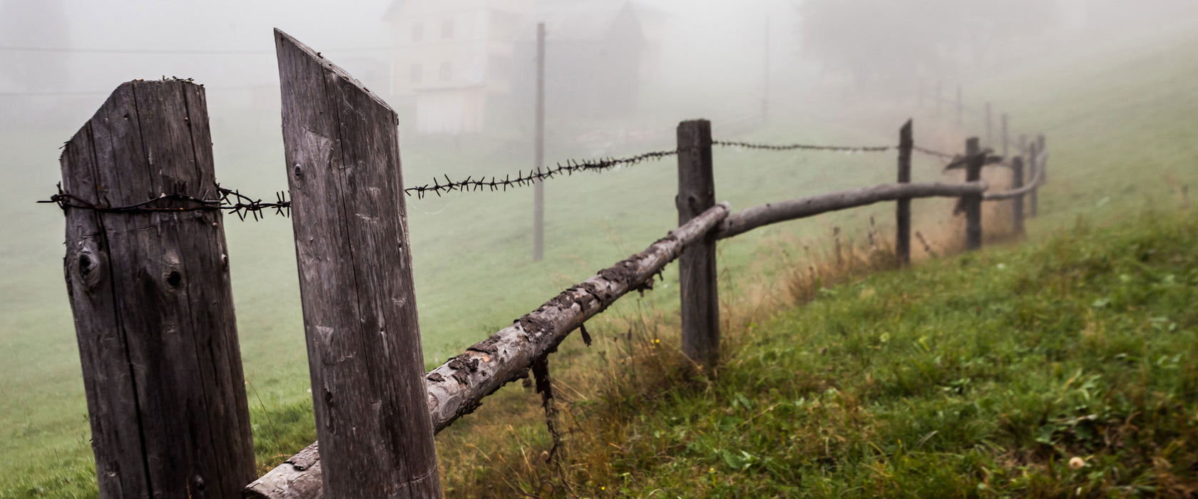 Holzzaun auf Wiese, Glasbild Panorama