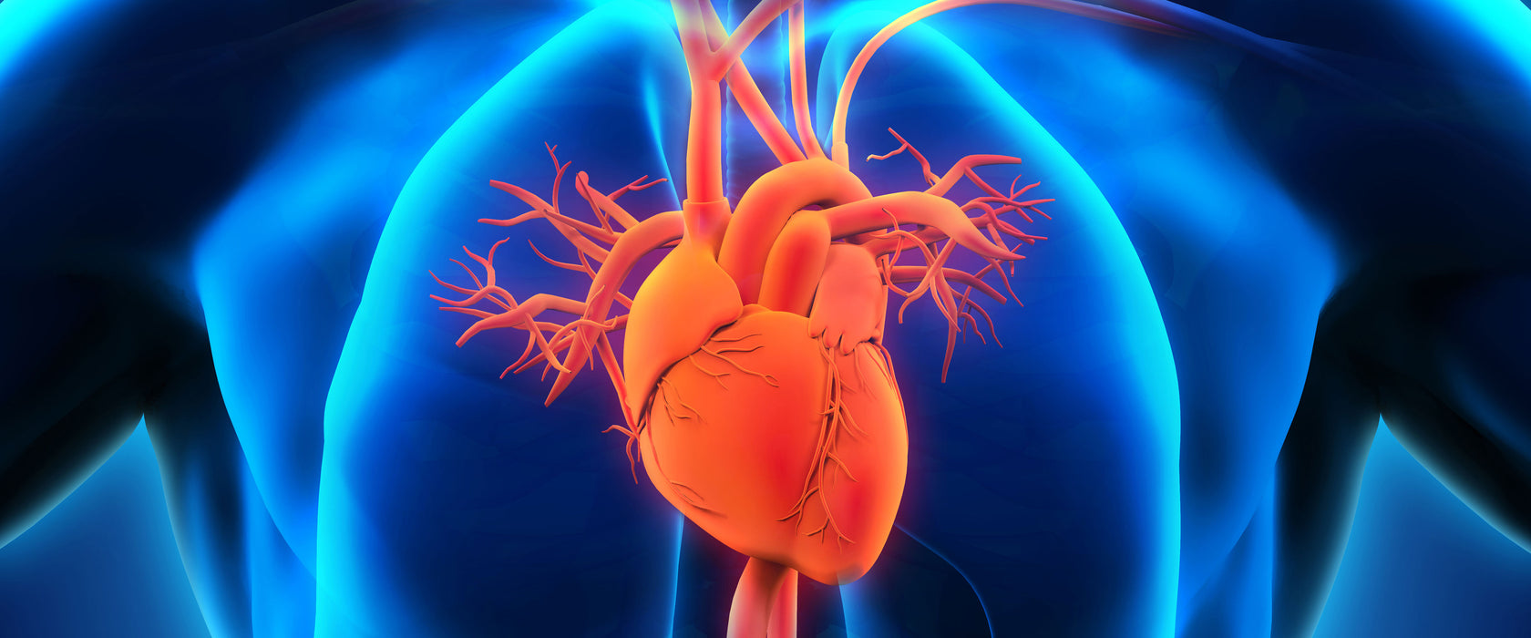 Herz des Menschen, Glasbild Panorama