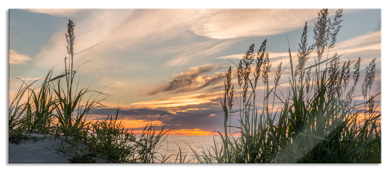 Pixxprint Gras am Strand bei Sonnenuntergang, Glasbild Panorama