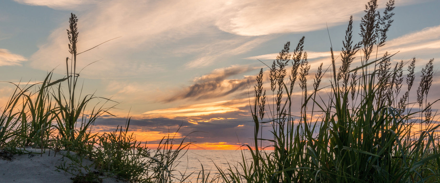 Gras am Strand bei Sonnenuntergang, Glasbild Panorama