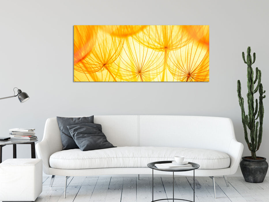 Pusteblumen oranges Licht, Glasbild Panorama