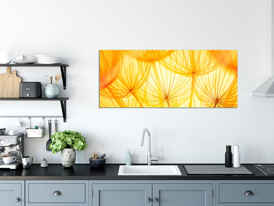 Pusteblumen oranges Licht, Glasbild Panorama