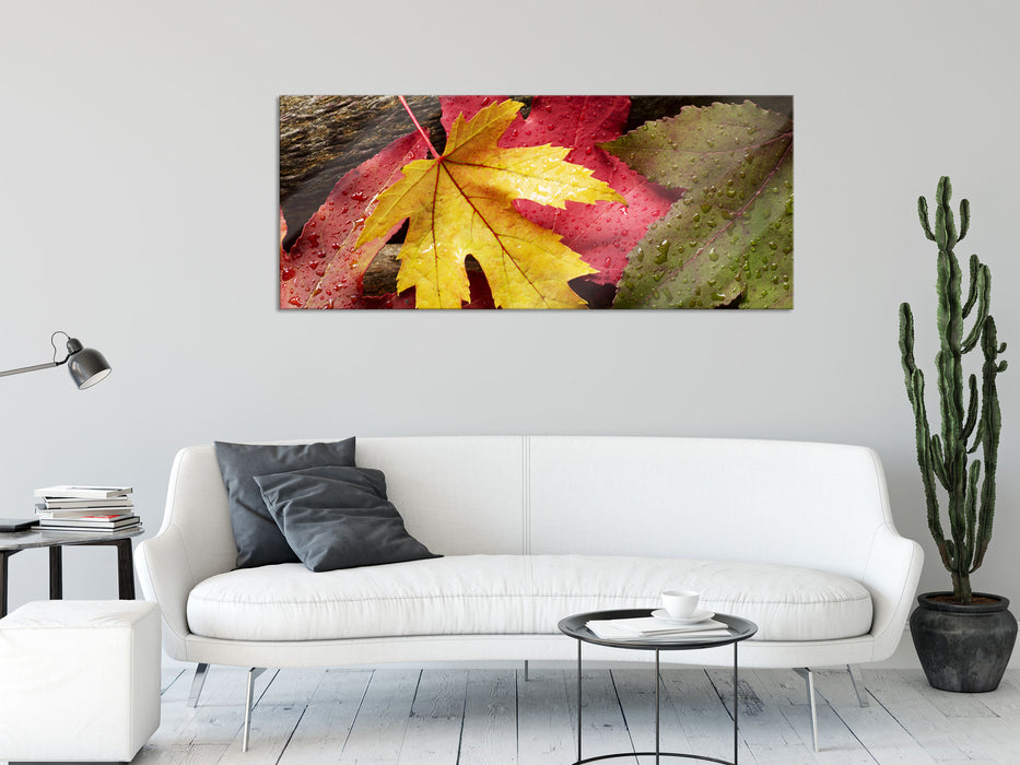 Bunte Herbstblätter, Glasbild Panorama