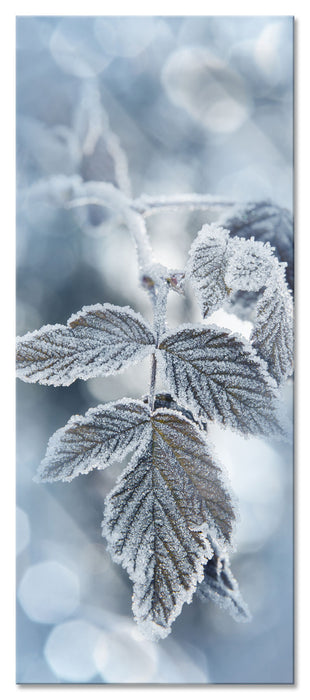 Pixxprint Blätter im Winter Morgenfrost, Glasbild Panorama