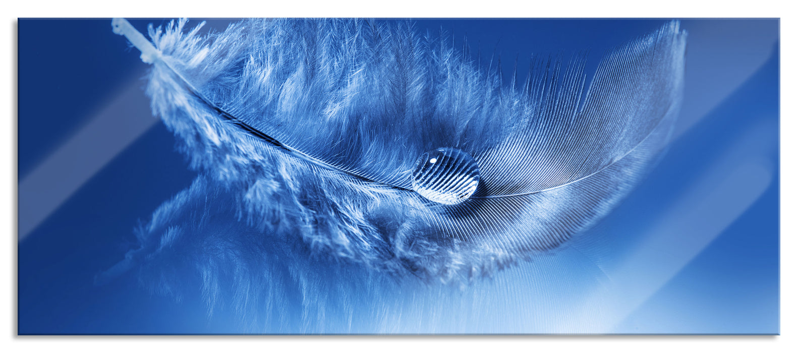 Pixxprint Wassertropfen auf Feder, Glasbild Panorama