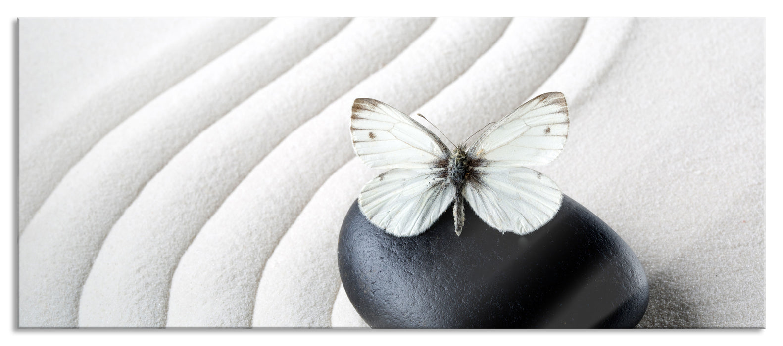 Pixxprint Schmetterling auf Zen Stein, Glasbild Panorama