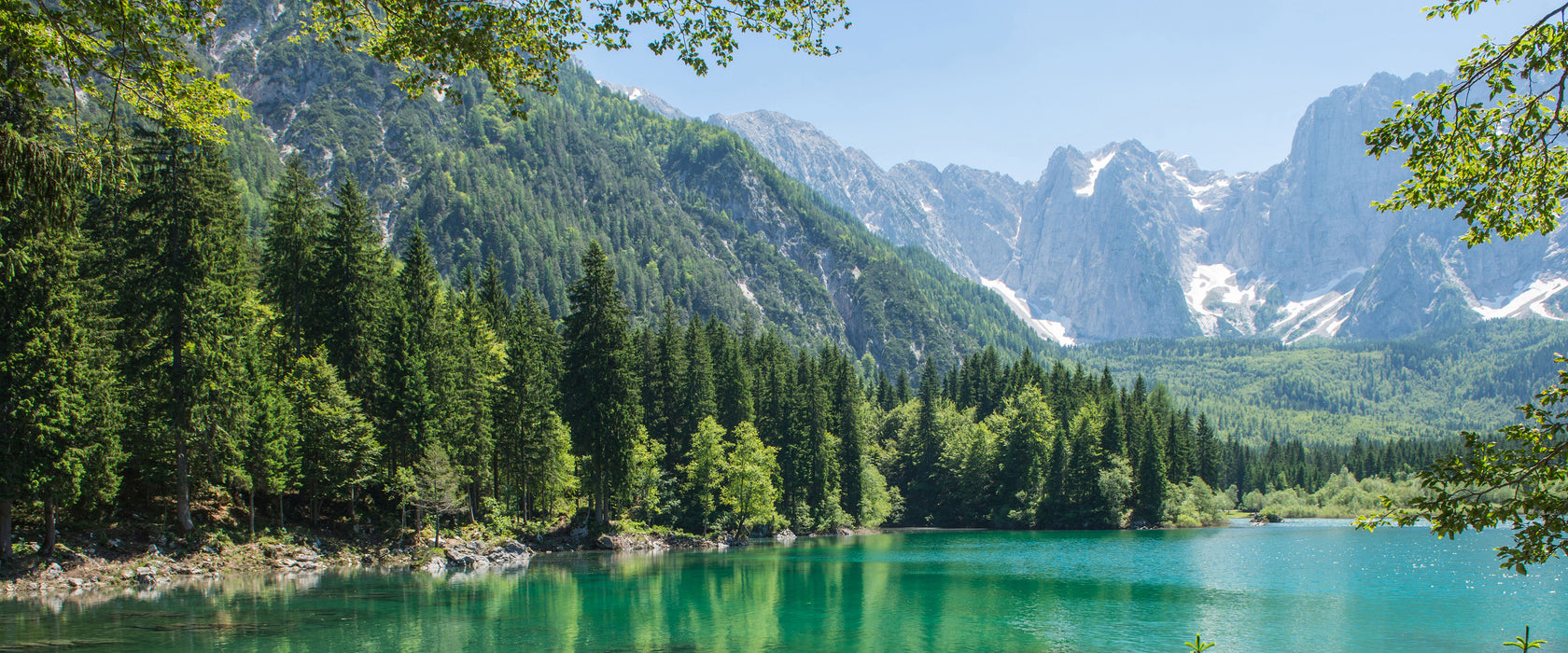 Wunderschöner See im Wald, Glasbild Panorama